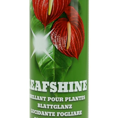 Floristik24 Spray brillant aux feuilles 400ml