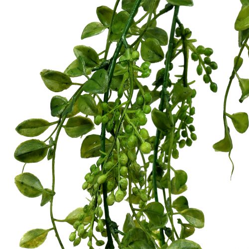 Article Cintres à feuilles avec baies 115cm vert