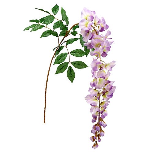 Floristik24 Glycine Wisteria L. 104 cm