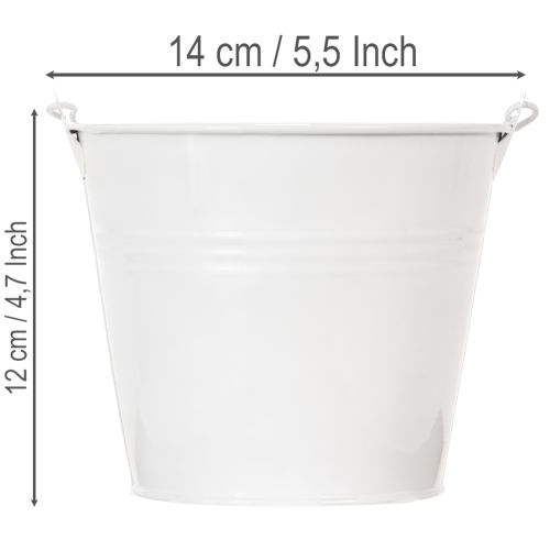 Seaux en fer blanc Ø14cm H12cm, lot de 6 | Floristik24.be