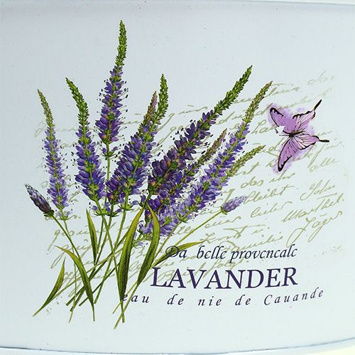 Floristik24 Ensemble de 3 boîtes blanc avec motif lavande