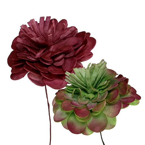 Floristik24 Fleur en mousse 7cm Vert/rouge foncé 12P