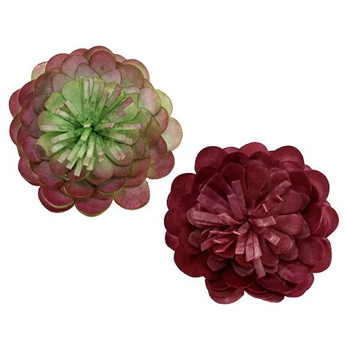 Floristik24 Fleur en mousse 7cm Vert/rouge foncé 12P