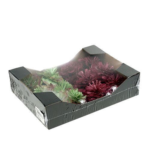 Floristik24 Fleur en mousse 7cm Vert/rouge foncé 12P