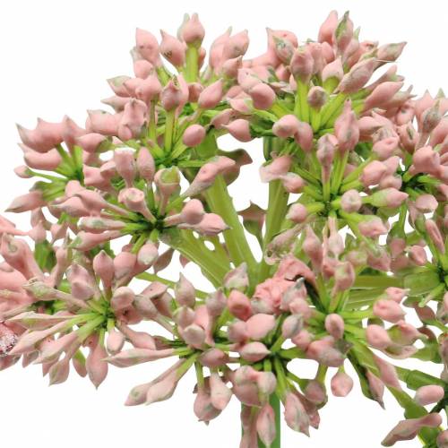 Article Allium artificiel Rose 55cm