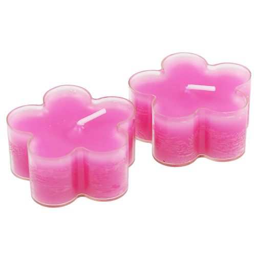 Bougie fleur fuchsia 12 p. | Floristik24.be