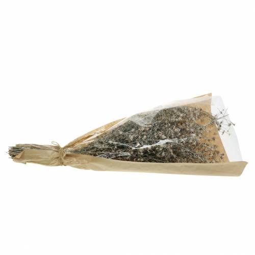 Floristik24 Fleuristerie sèche branche fleur sauvage lavée blanc 60cm 100g