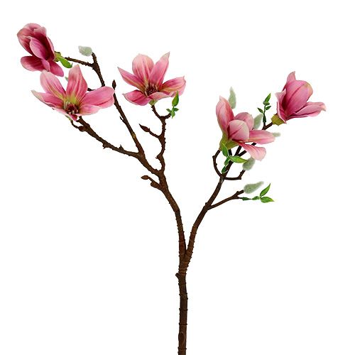 Floristik24 Magnolia mini rose, rose L53cm 3pcs