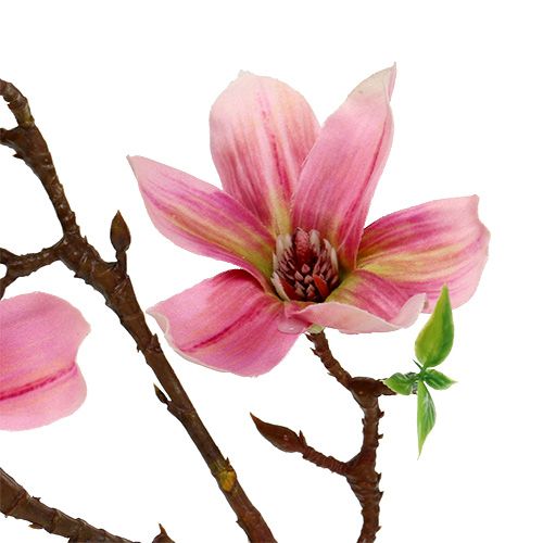 Floristik24 Magnolia mini rose, rose L53cm 3pcs