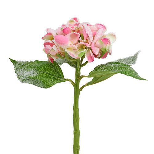 Floristik24 Hortensia rose neigé 33cm 4pcs
