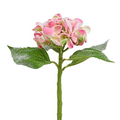 Article Hortensia rose avec neige 33cm 4 pcs
