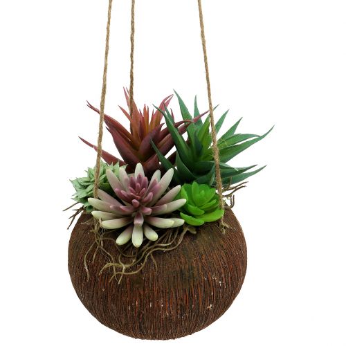 Floristik24 Panier suspendu avec succulentes artificielles L65cm Ø16cm