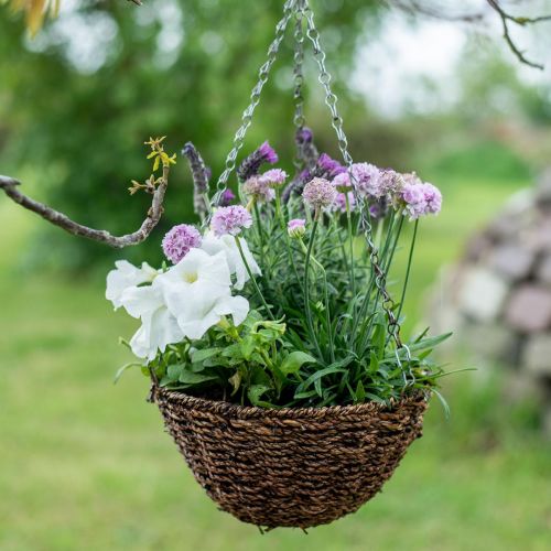 Floristik24 Panier à fleurs panier suspendu marron panier suspendu panier à plantes Ø25cm