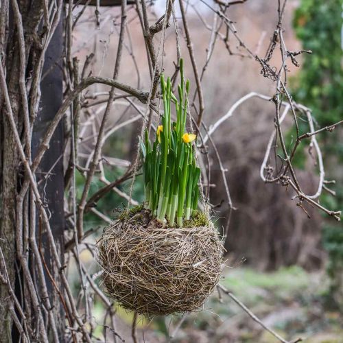Floristik24 Blumenampel Heu Natur Panier à plantes à suspendre Pot suspendu Ø20cm