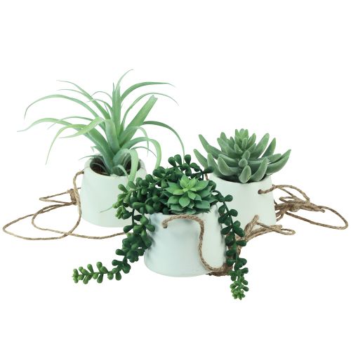 Article Paniers suspendus plantes succulentes artificielles vertes assorties 18cm 3pcs