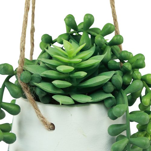 Article Paniers suspendus plantes succulentes artificielles vertes assorties 18cm 3pcs