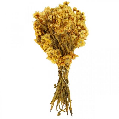Article Mini fleur de paille bouquet de fleurs séchées jaune bouquet sec H20cm 15g