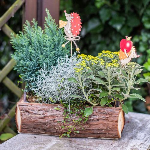 Article Boîte à fleurs, boîte en bois avec écorce, cache-pot avec anses 38cm