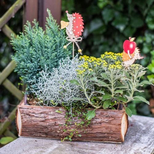 Floristik24 Boîte à fleurs, boîte en bois avec écorce, cache-pot avec anses 38cm