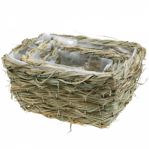 Article Panier à fleurs, panier décoratif en foin, jardinière, panier décoratif carré lot de 3