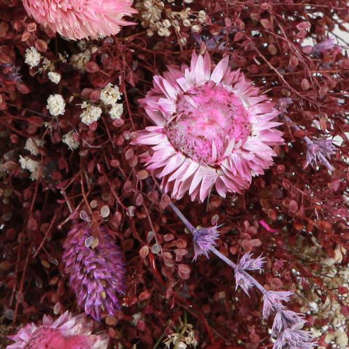 Floristik24 Couronne de fleurs couronne de fleurs séchées vin rouge rose Ø25cm