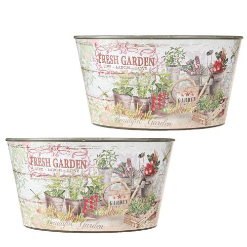 Article Coupe à fleurs vintage en plastique Fresh Garden coloré Ø21cm 2pcs