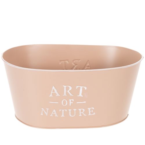 Coupe ovale en zinc, rose antique, pot de fleurs, 27 × 18 cm, H 12,5 cm acheter | Floristik24.be