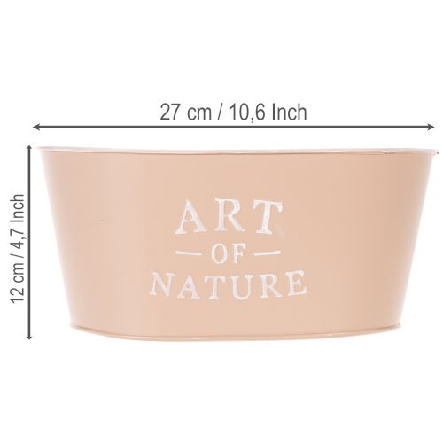 Coupe ovale en zinc, rose antique, pot de fleurs, 27 × 18 cm, H 12,5 cm | Floristik24.be