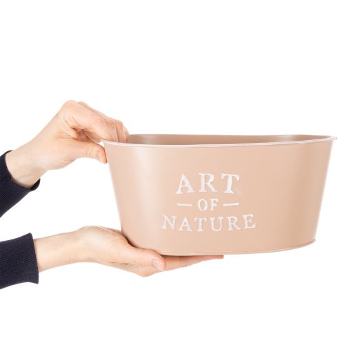 Coupe ovale en zinc, rose antique, pot de fleurs, 27 × 18 cm, H 12,5 cm | Floristik24.be