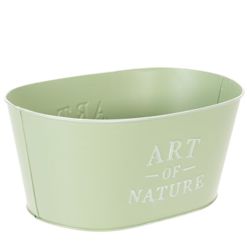 Coupe à fleurs ovale en zinc vert menthe 27×18cm H12,5cm | Floristik24.be