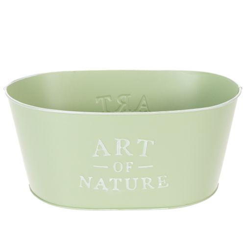 Article Coupe à fleurs ovale en zinc vert menthe 27×18cm H12,5cm
