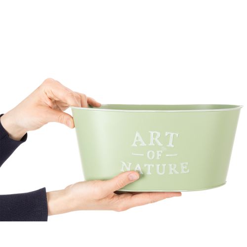 Coupe à fleurs ovale en zinc vert menthe 27×18cm H12,5cm | Floristik24.be