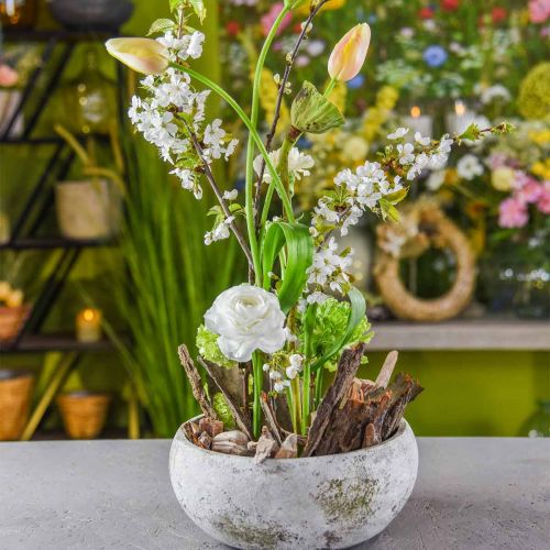 Floristik24 Coupe à fleurs patine antique aspect vintage béton Ø26,5cm H12cm