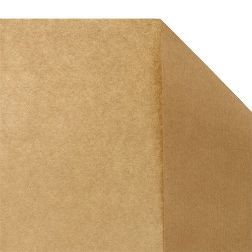 Floristik24 Soie fleurie 75cm naturelle 9kg