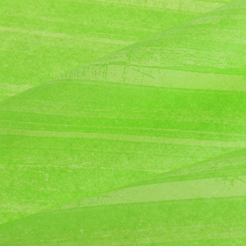 Floristik24 Fleur Soie Trendline Vert 50cm 6kg