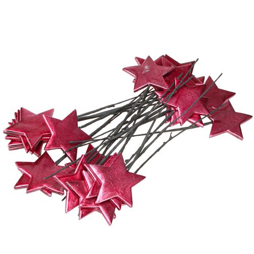 Article Bâtonnets de fleurs Étoiles Décoration Baies Ø7cm – 2e choix – 24 pcs