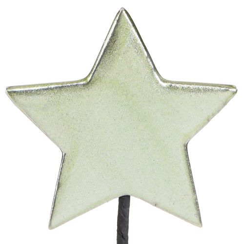 Floristik24 Bouchons de fleurs étoiles vertes 7 cm – 2e choix – 24 pièces
