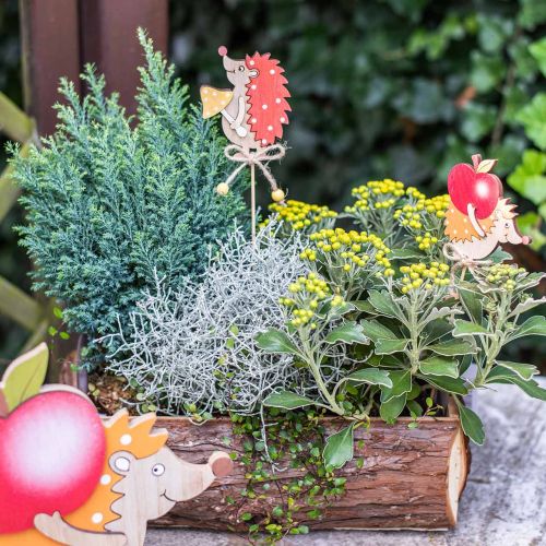 Floristik24 Bâton fleur hérisson, décoration en bois, figurine automne H9.5cm L32cm 12pcs