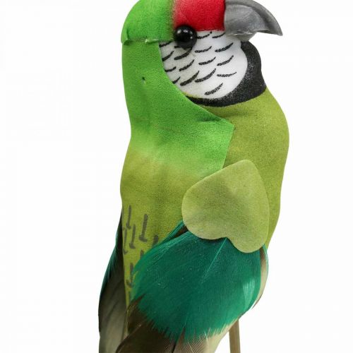 Floristik24 Bouchon fleur oiseau, déco perroquet vert 23×4.5×5.5cm 6pcs