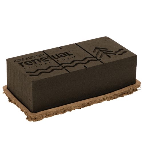 Brique de mousse florale 1/1 OASIS® Renewal® Biolit® 24 cm (2 pièces)