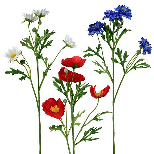 Floristik24 Bouquet de fleurs de prairie 55cm