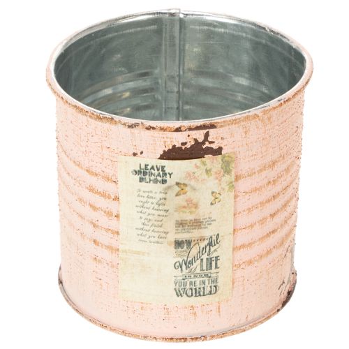 Floristik24 Pot de fleurs décoratif, motif saumon, boîte à herbes en métal, Ø8 cm, H7,5 cm