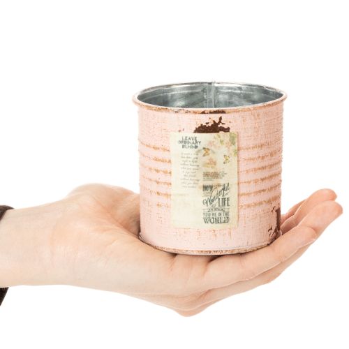 Article Pot de fleurs décoratif, motif saumon, boîte à herbes en métal, Ø8 cm, H7,5 cm