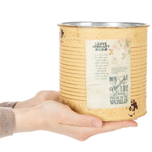 Article Pot de fleurs vintage de 15 cm (lot de 3) pour la décoration du salon et du bureau