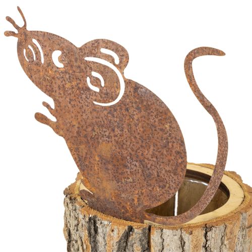 Article Pot de fleurs en bois écorce et rouille souris H24cm