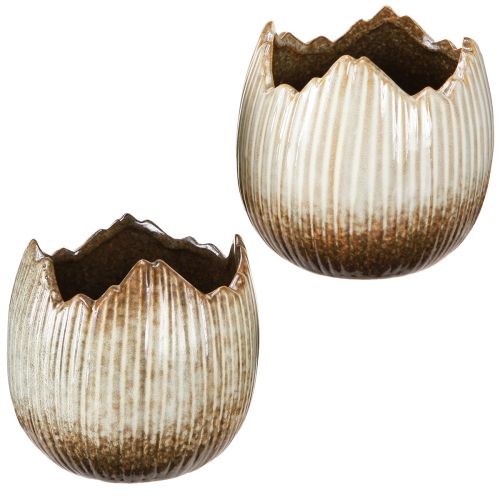 Pot de fleurs en céramique œuf cassé crème marron Ø11,5 cm 2 pcs
