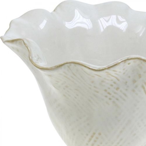 Article Pot de fleurs en céramique, pot de fleurs, pot de fleurs blanc Ø15cm