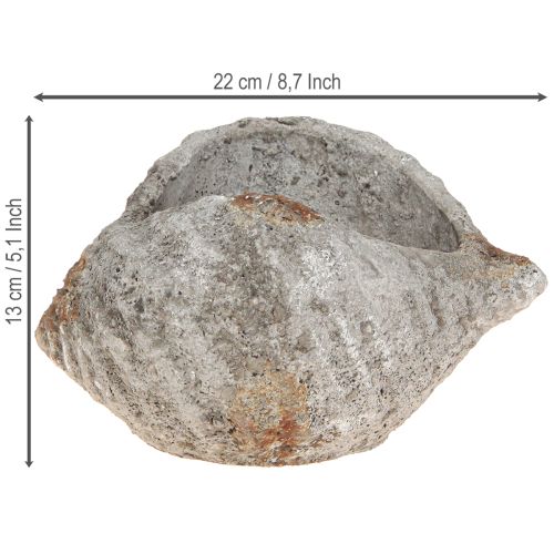 Article Pot de fleurs coquillage pierre gris antique maritime 22×18×13cm