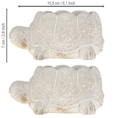 Article Pot de fleurs tortue décoration béton gris blanc 15,5 cm 2 pièces