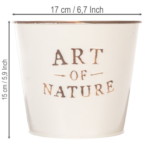 Pot de fleurs en zinc Art of Nature Crème Ø17,5 cm H15 cm | Floristik24.be